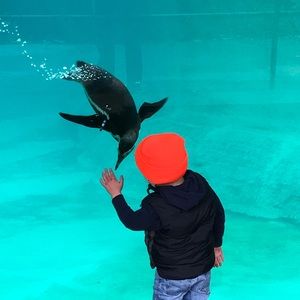 Meet your Posher, Evan